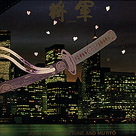 将軍